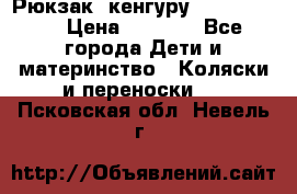 Рюкзак -кенгуру Baby Bjorn  › Цена ­ 2 000 - Все города Дети и материнство » Коляски и переноски   . Псковская обл.,Невель г.